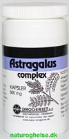Astragalus Complex 500 mg